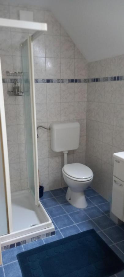 Apartma Metka Bohinji-tó Kültér fotó